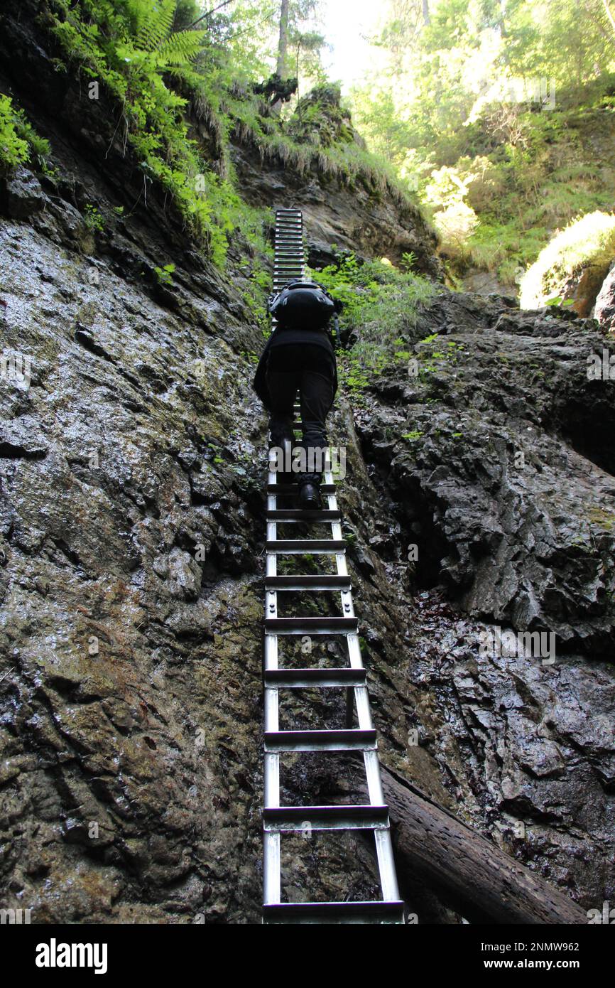 Ein Tourist in den wunderschönen Schluchten des Slovak Paradise Nationalparks. Slowakei Stockfoto