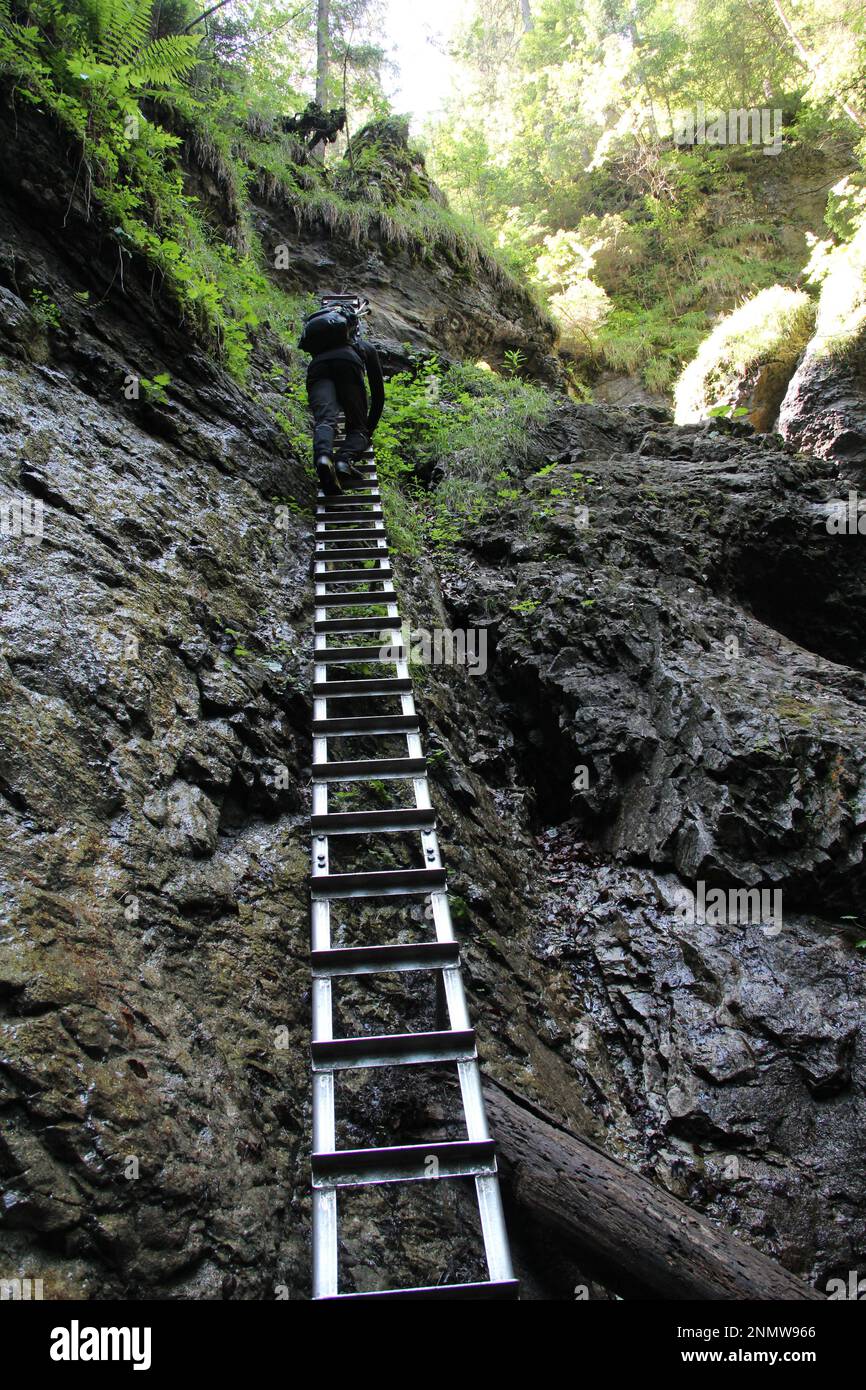 Ein Tourist in den wunderschönen Schluchten des Slovak Paradise Nationalparks. Slowakei Stockfoto