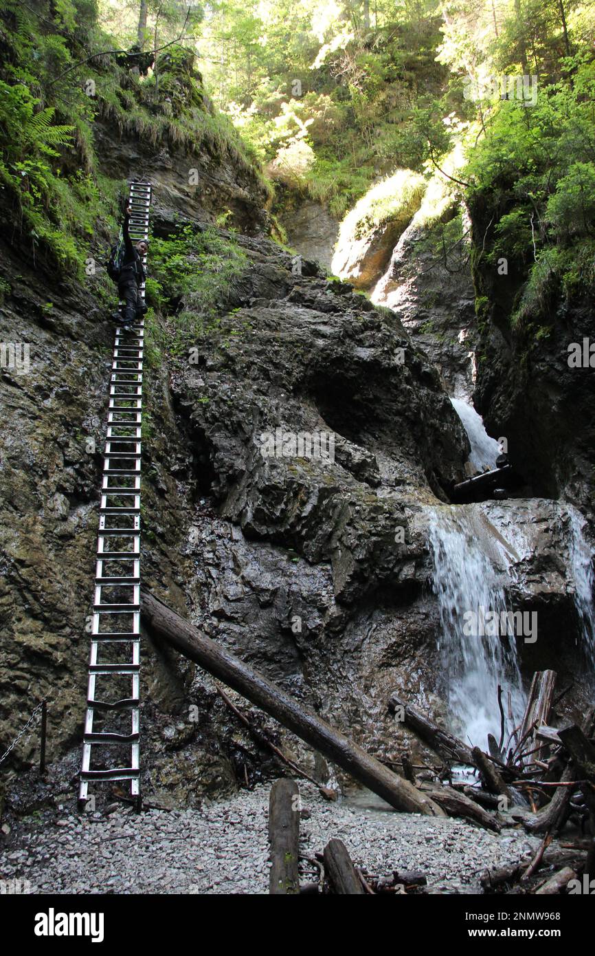 Ein Tourist in den wunderschönen Schluchten des Slovak Paradise Nationalparks. Slowakei Stockfoto