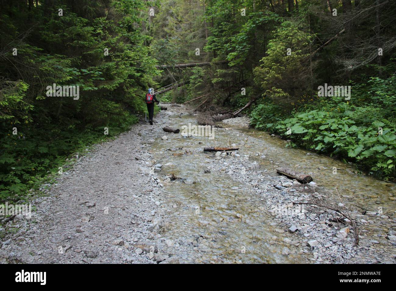 Ein Tourist in den wunderschönen Schluchten des Slovak Paradise Nationalparks. Slowakei Stockfoto