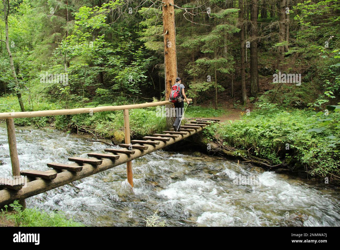 Ein Tourist in den wunderschönen Schluchten des Slovak Paradise Nationalparks. Slowakei Stockfoto