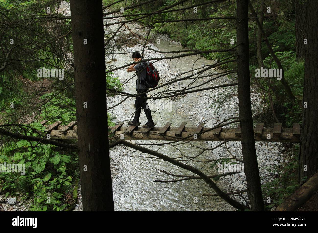 Ein Tourist in den wunderschönen Schluchten des Slovak Paradise Nationalparks. Slowakei Stockfoto