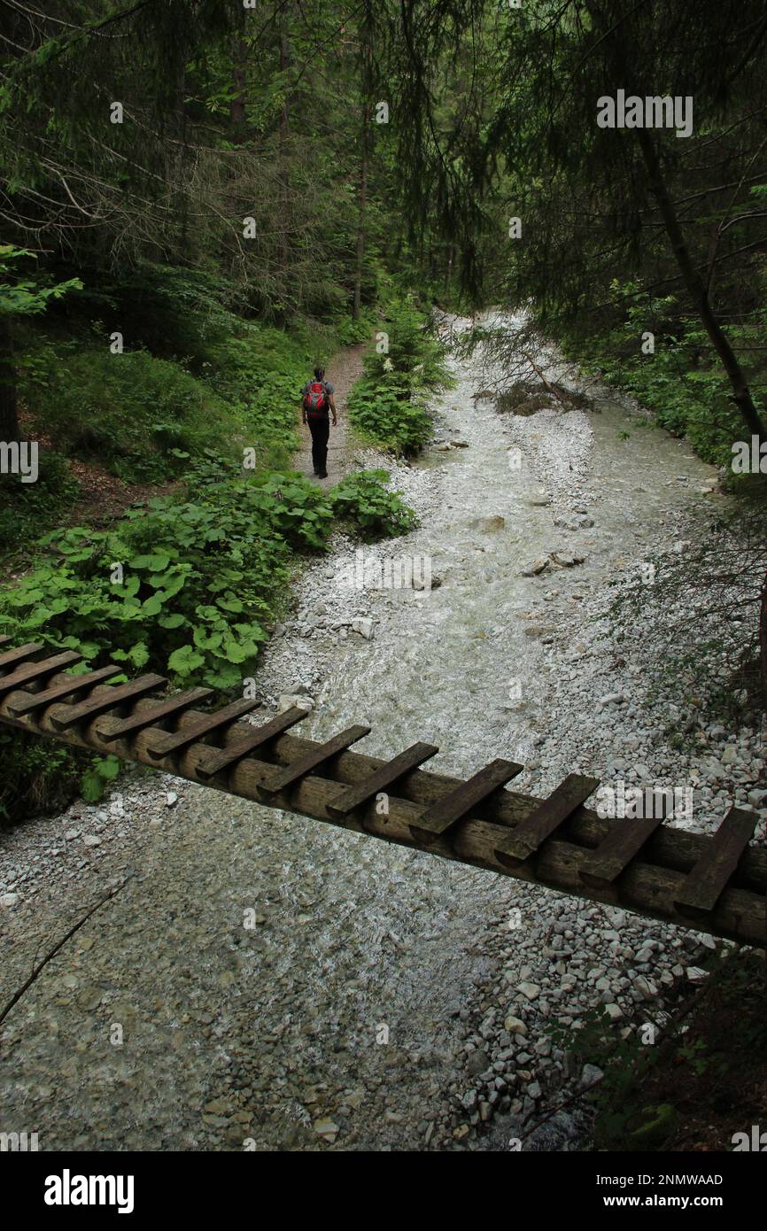 Ein Tourist in den wunderschönen Schluchten des Slovak Paradise Nationalparks. Slowakei Stockfoto