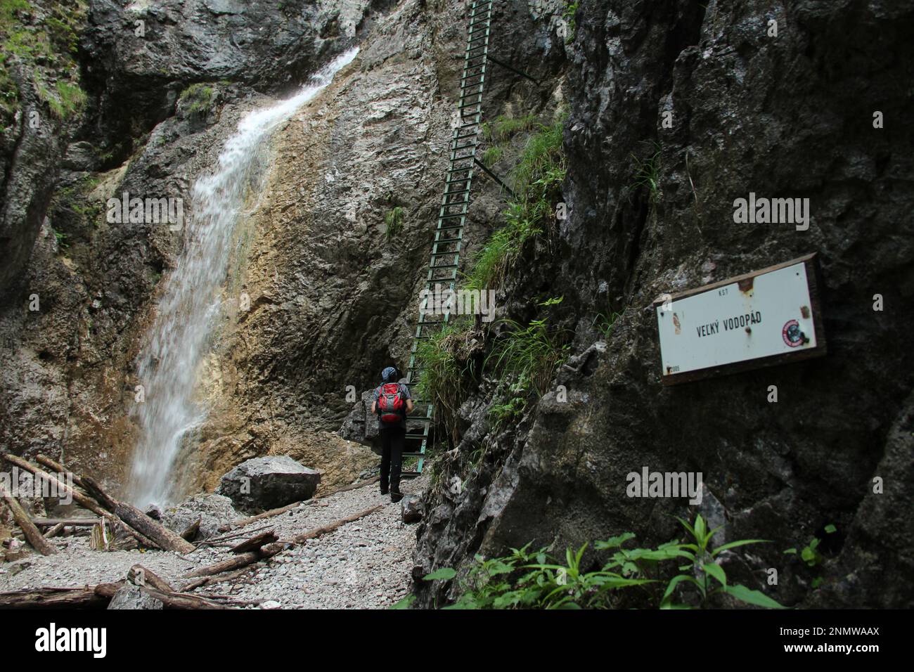 Ein Tourist in den wunderschönen Schluchten des Slovak Paradise Nationalparks. Slowakei Stockfoto