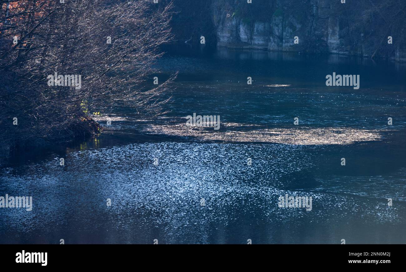 Landschaft der Eisfläche eines teilweise gefrorenen Sees mit Sonnenlicht und blauen Wasserreflexionen (Naturschutzgebiet Mühlheim-Dietesheim, Hessen, Deutschland) Stockfoto