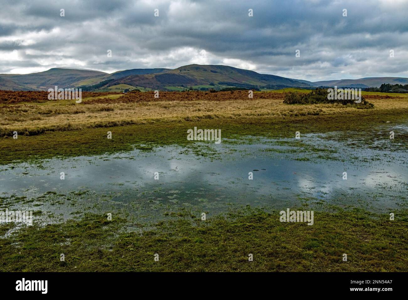 Blick über den Teich auf Mynydd Illtyd Common to Fan Frynych und auf den linken Fan Fawr im Central Brecon Beacons National Park Stockfoto