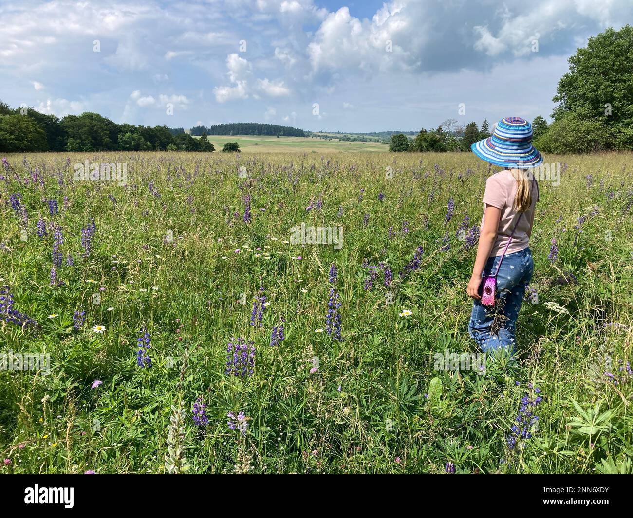 Kind auf einer Wiese im Rhoengebirge, Deutschland Stockfoto