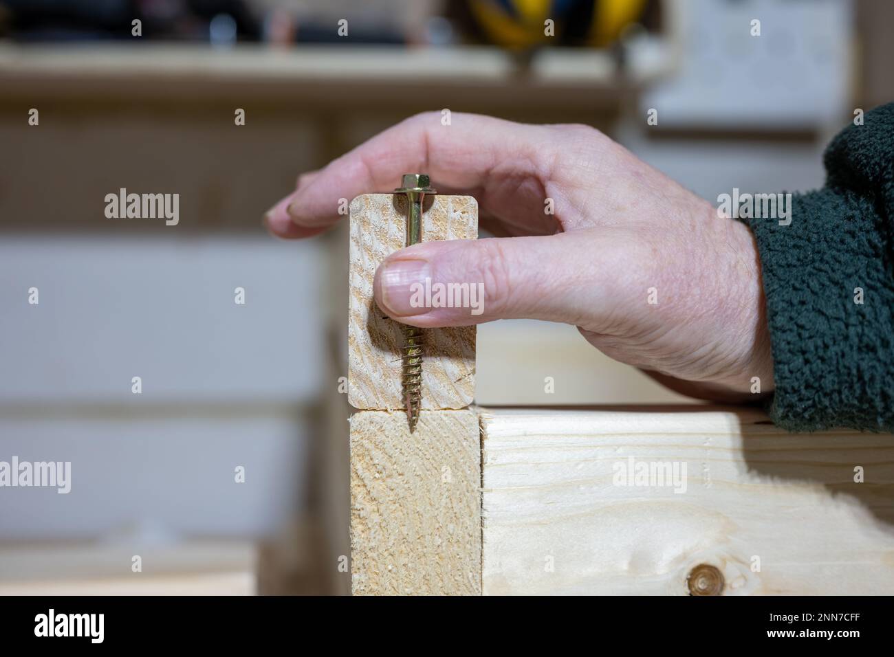 Handwerker, der eine Metallschraube hält, um das Messgerät und die Tiefe an einem Schnittholzteil zu messen Stockfoto