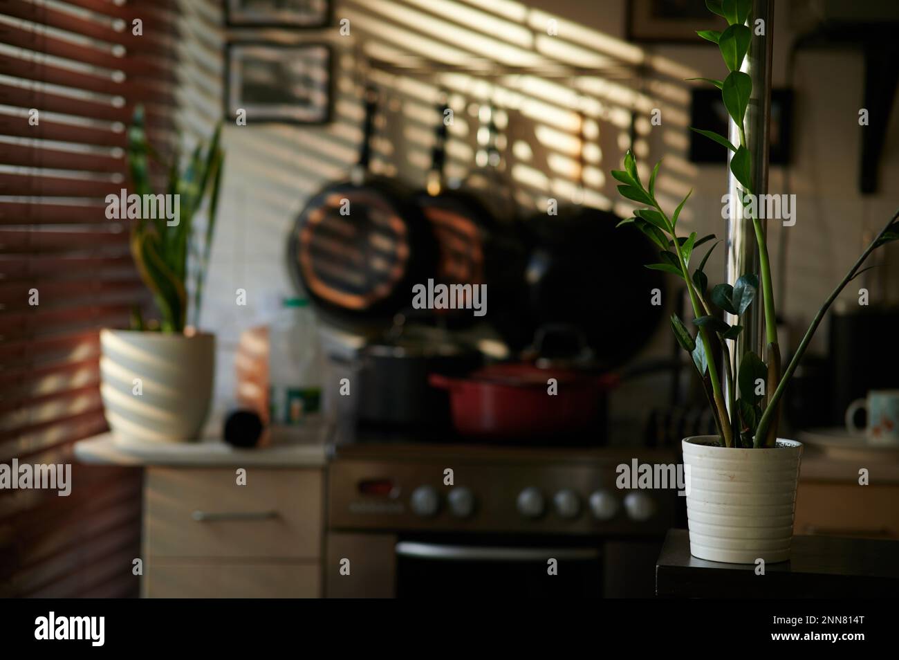 Innenraum mit ZZ-Werk und Metallstange im seitlichen Vordergrund und verschwommenem Hintergrund der Küche und Sonnenschein durch Jalousien Stockfoto