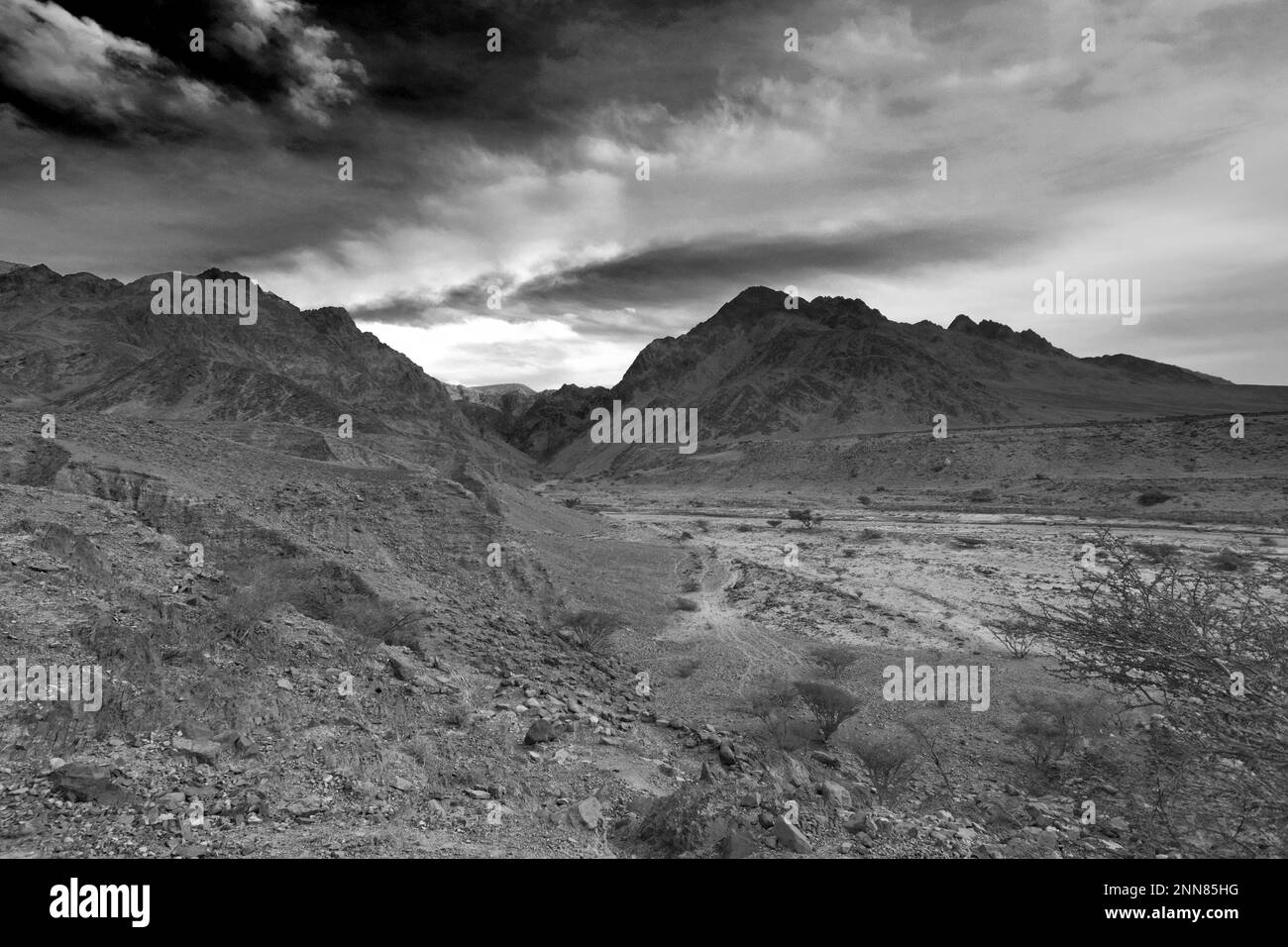 Blick über die Landschaft in Wadi Barwas, Al-Sharat, Wadi Araba Wüste, Südmittjordanien, Naher Osten. Stockfoto