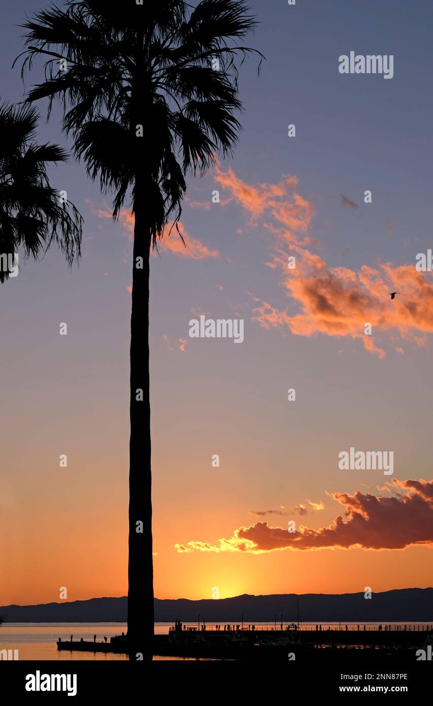 Die untergehende Sonne färbt den Himmel über Enoshima Island, Japan, mit Palmen im Vordergrund Stockfoto