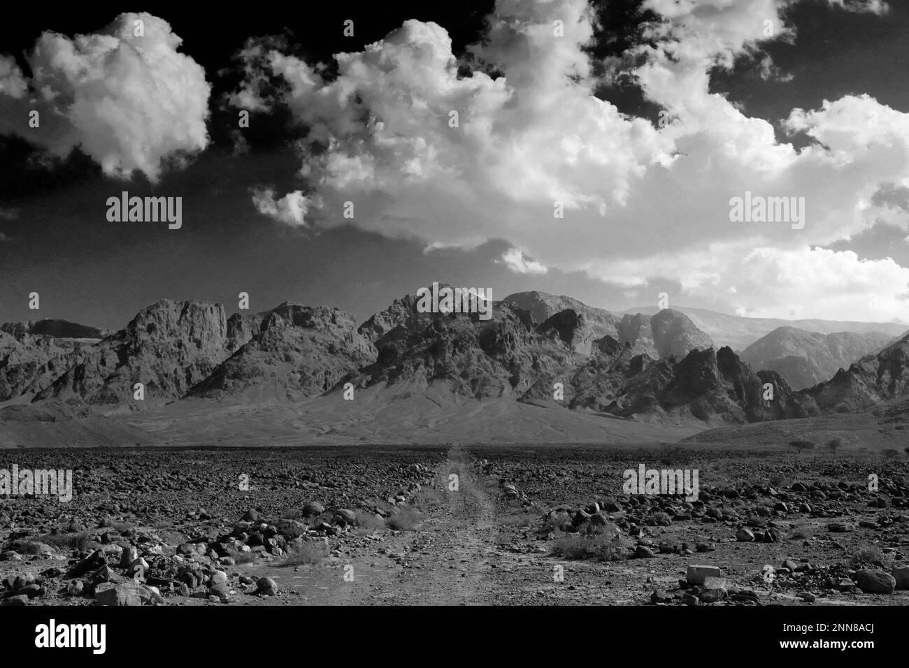 Blick über die felsige Hamada-Landschaft in Wadi Feynan, Al-Sharat, Wadi Araba-Wüste, Südmitte Jordanien, Naher Osten. Stockfoto