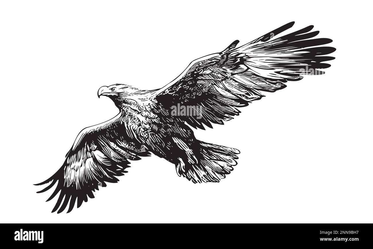 Eagle fliegt isoliert auf weißem Hintergrund handgezeichnet Skizzenvektor Stock Vektor