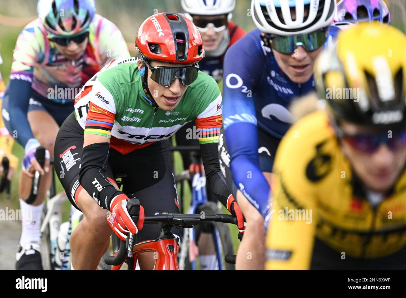 Italienische Elisa Balsamo von Trek-Segafredo in Aktion während des eintägigen Radrennens Omloop Het Nieuwsblad für Frauen, zum ersten Mal Teil der Rennen der Women's World Tour, 132,2 km von Gent nach Ninove, Samstag, 25. Februar 2023. BELGA FOTO TOM GOYVAERTS Kredit: Belga News Agency/Alamy Live News Stockfoto