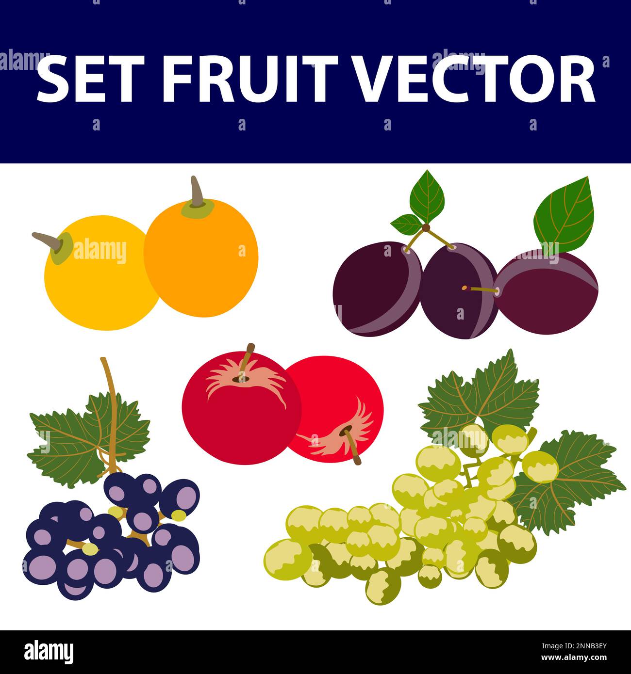 Ein Satz Früchte und Beeren, glänzende Cartoon-Vektordarstellung Stock Vektor
