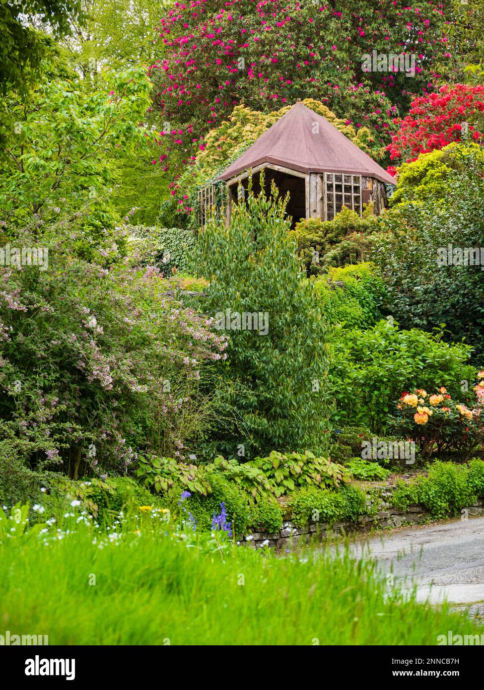 Blick auf das Ovals Garden Sommerhaus im Garden House, Buckland monachorum, Devon, Großbritannien Stockfoto