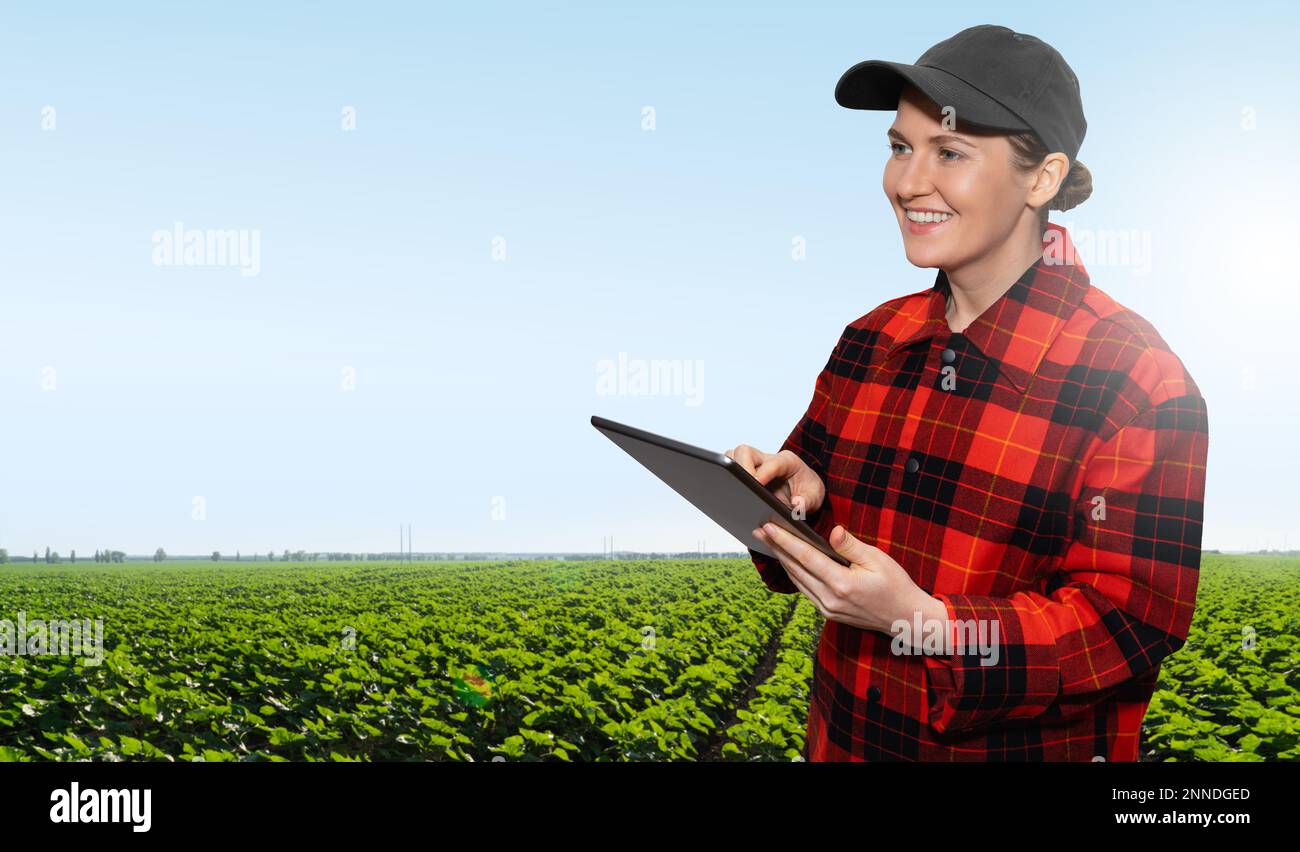 Eine Farmerin mit Tablet. Intelligente Landwirtschaft und digitale Landwirtschaft. Stockfoto