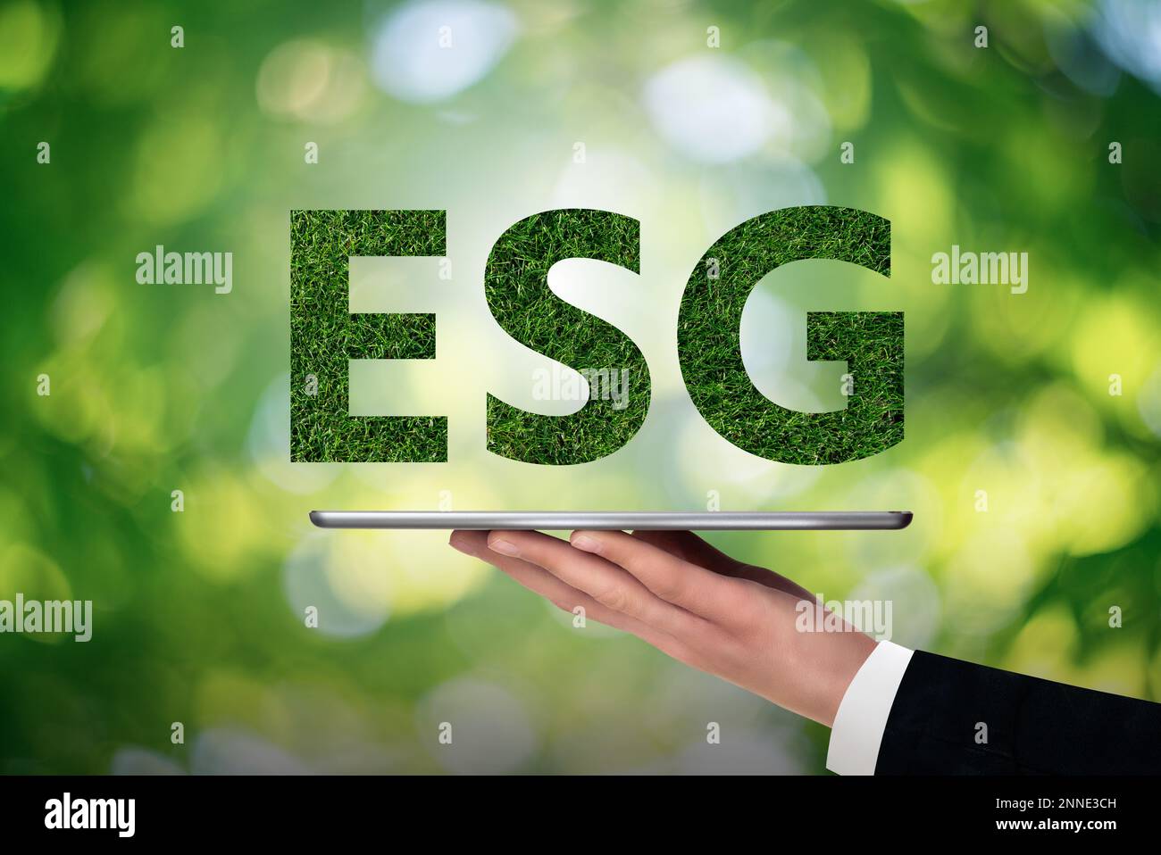 Konzept der ESG – Umwelt-, Sozial- und Governance-Rahmen Stockfoto