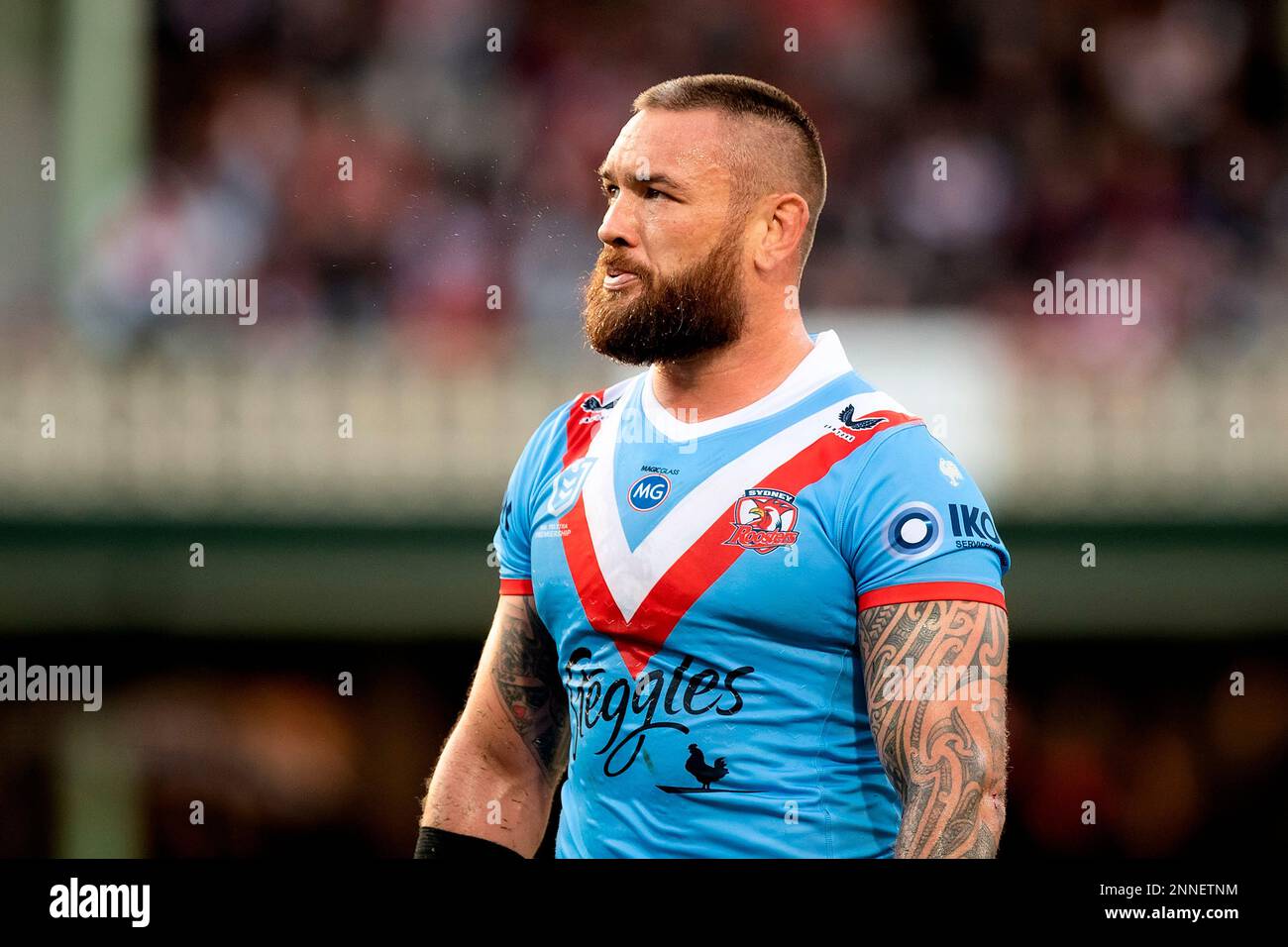 SYDNEY, AUSTRALIA - APRIL 25: Jared Waerea-Hargreaves of the Roosters looks on during the round seven NRL match between the Sydney Roosters and St George Illawarra Dragons at The Sydney Cricket Ground on April 25, 2021 in Sydney, Australia. (Photo by Speed Media/Icon Sportswire) (Icon Sportswire via AP Images) Stockfoto