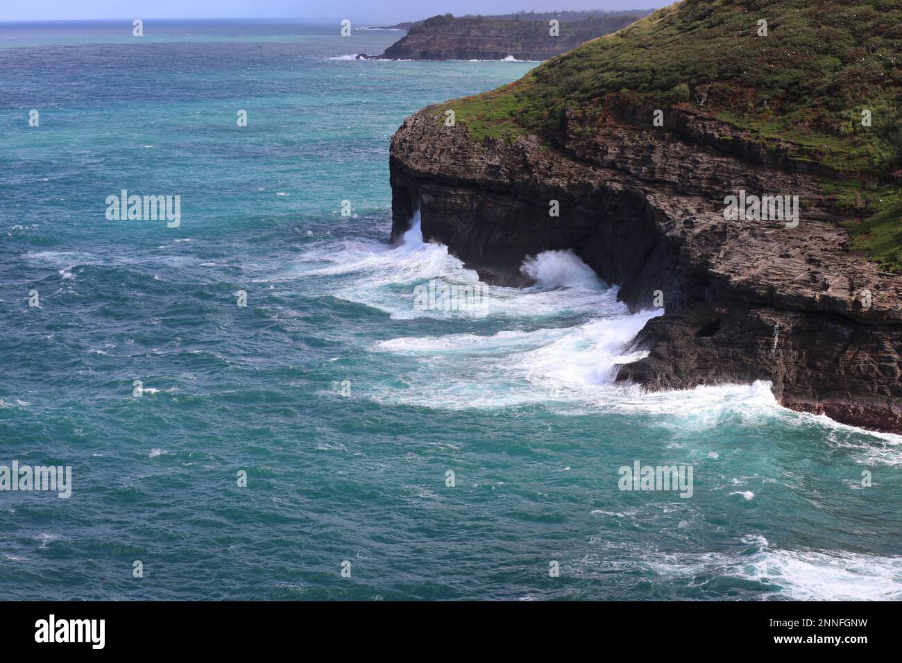 Das Kilauea Point National Wildlife Refuge auf Kauai, Hawaii, USA, ist ein Felsvorsprung mit Vegetation und nistenden Seevögeln Stockfoto