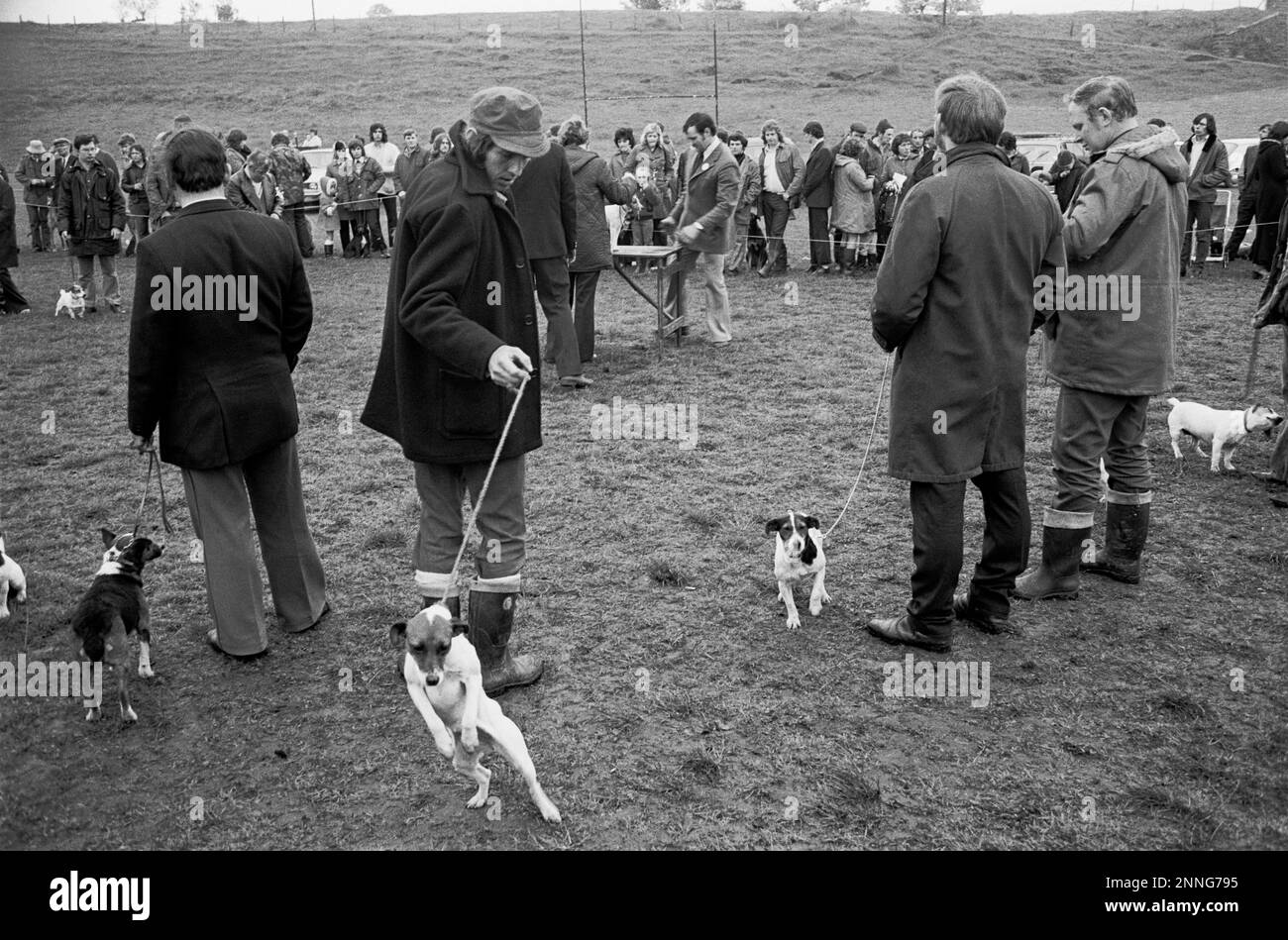 Hundeshow bei der TAF Fechan Hunt Show, Merthyr Tydfil, Glamorgan, South Wales, 1974 Stockfoto