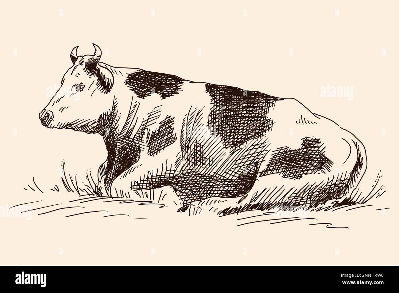 Eine schnelle, freihändige Zeichnung einer Kuh liegt auf einer Weide im Gras Stock Vektor