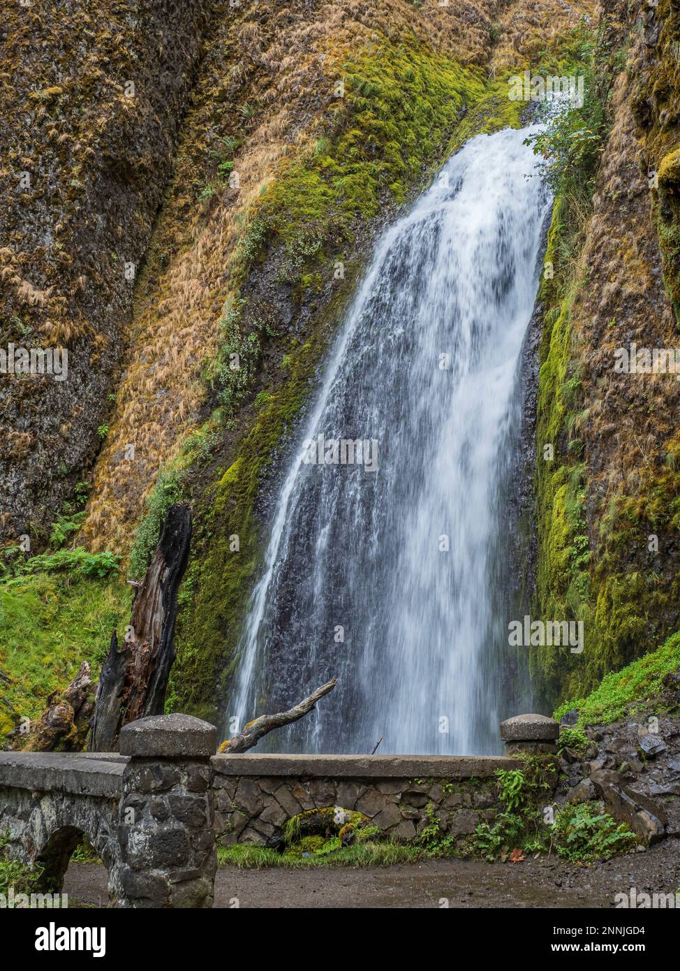 Wahkeena Falls, Columbia River Gorge National Scenic Area, Oregon. Stockfoto