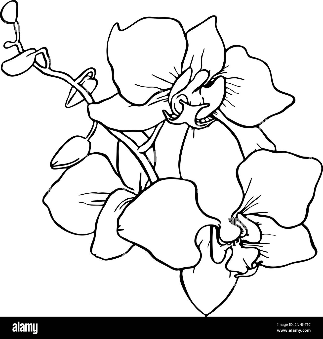 Schwarze Silhouette eines Blumenzweigs auf weißem Hintergrund, Logo, Kunst Stockfoto