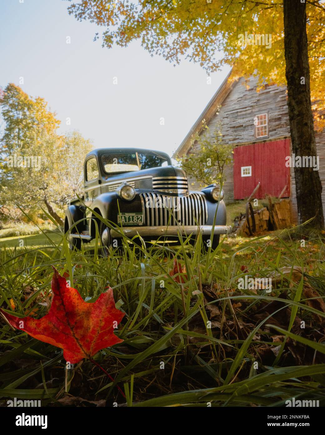 Ein alter Pickup-Truck vor einer Scheune mit einem roten Blatt vorne während des Indischen Sommers Stockfoto