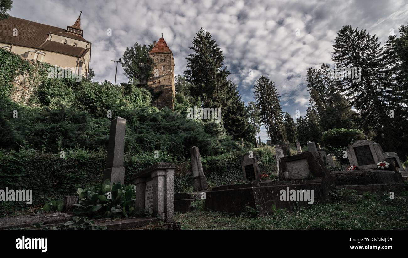 Der Friedhof ist von üppigem Grün umgeben, mit hohen Bäumen, die Schatten über die Grabsteine und Gräber werfen. Stockfoto