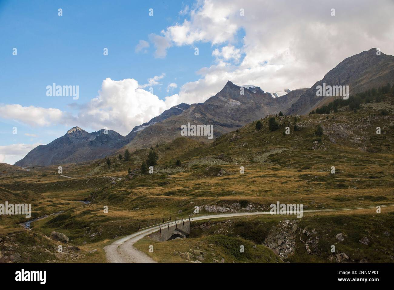 Blick auf eine Berglandschaft im Kanton Graubünden, Schweiz, mit einer kleinen Straße Stockfoto