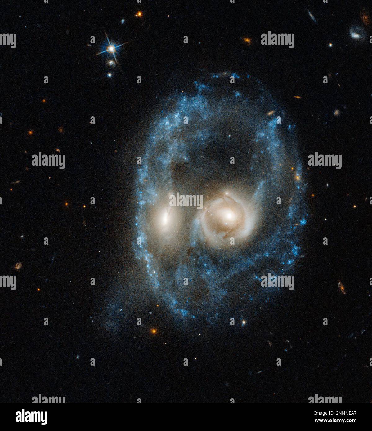 Leerzeichen. 28. Okt. 2019. Wenn Astronomen tief in den Weltraum blicken, erwarten sie nicht, etwas zu finden, das sie anstarrt. In diesem neuen Hubble-Weltraumteleskop-Bild starrt ein verblüffendes Paar glühender Augen bedrohlich in unsere Richtung. Die durchdringenden „Augen“ sind das auffälligste Merkmal dessen, was dem Gesicht einer außerirdischen Kreatur ähnelt. Aber das ist keine gespenstische Erscheinung. Hubble sieht eine titanische Frontalkollision zwischen zwei Galaxien. Jedes Auge ist der helle Kern einer Galaxie, von der eins in das andere geschleudert wurde. Der Umriss des Gesichts ist ein Ring junger blauer Sterne. Andere Klumpen neuer St. Stockfoto