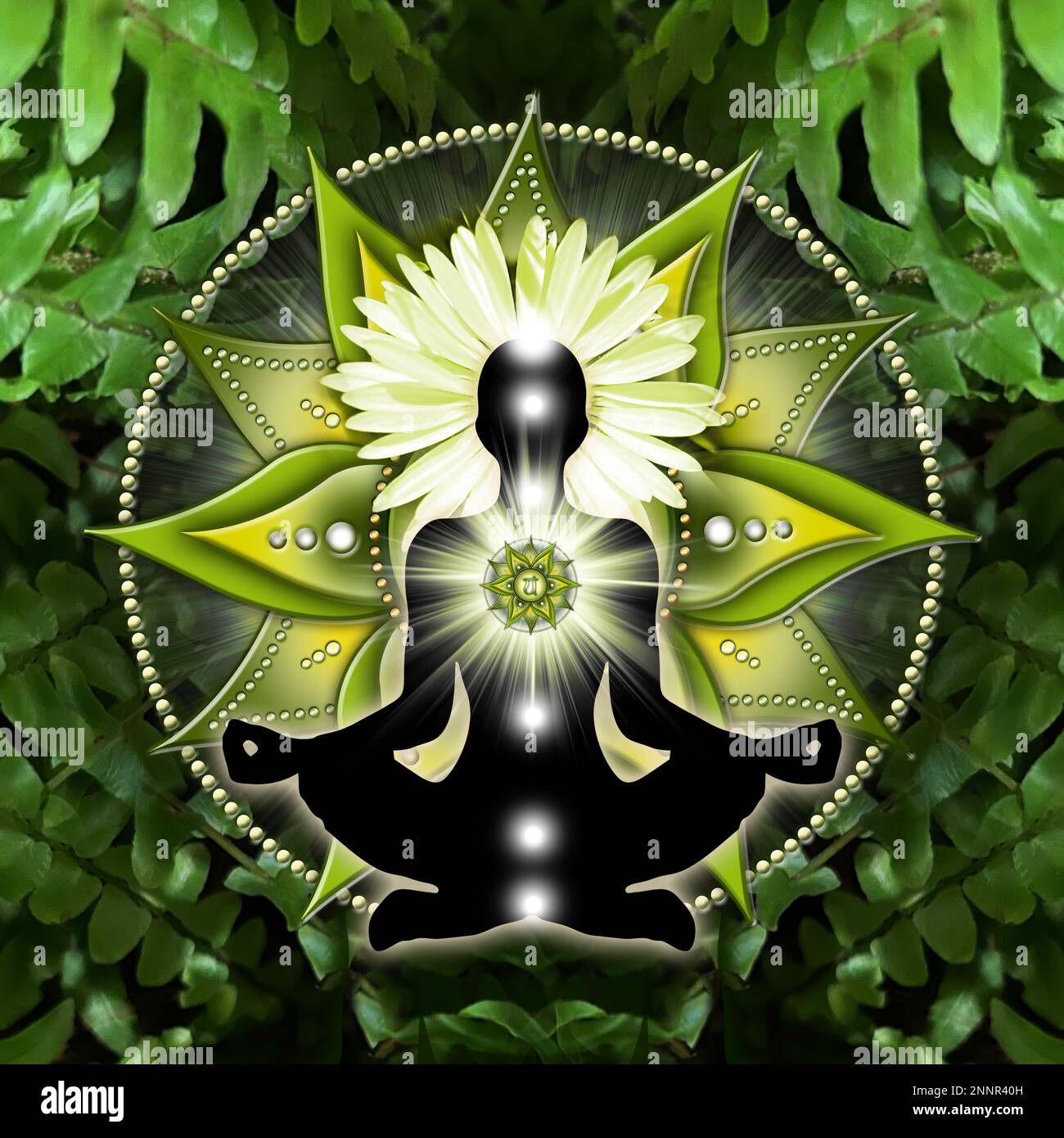 Herz-Chakra-Meditation in Yoga-Lotus-Pose, vor Anahata-Chakra-Symbol und beruhigenden, grünen Farnen. Stockfoto