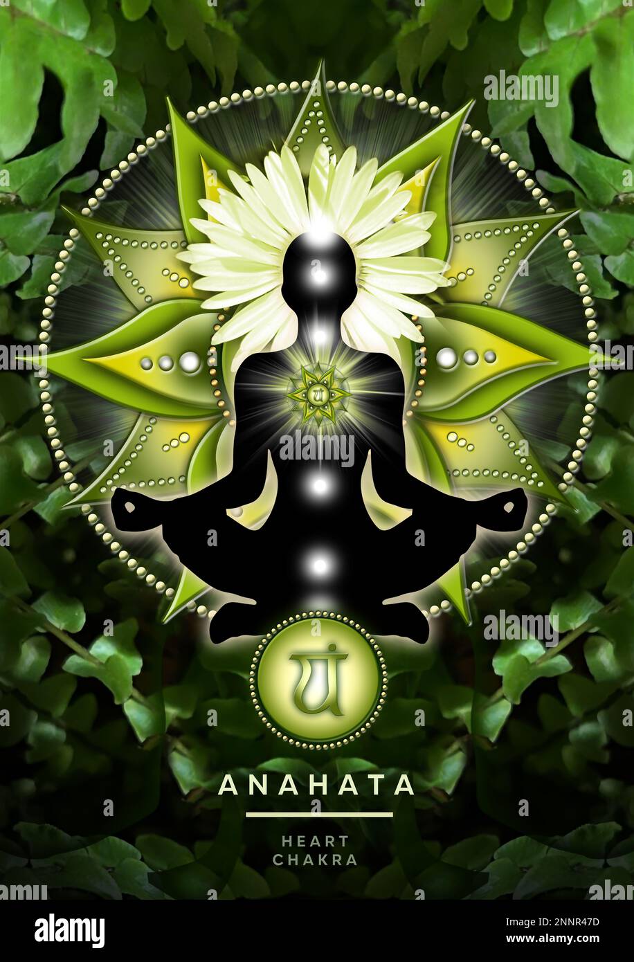 Herz-Chakra-Meditation in Yoga-Lotus-Pose, vor Anahata-Chakra-Symbol und beruhigenden, grünen Farnen. Stockfoto