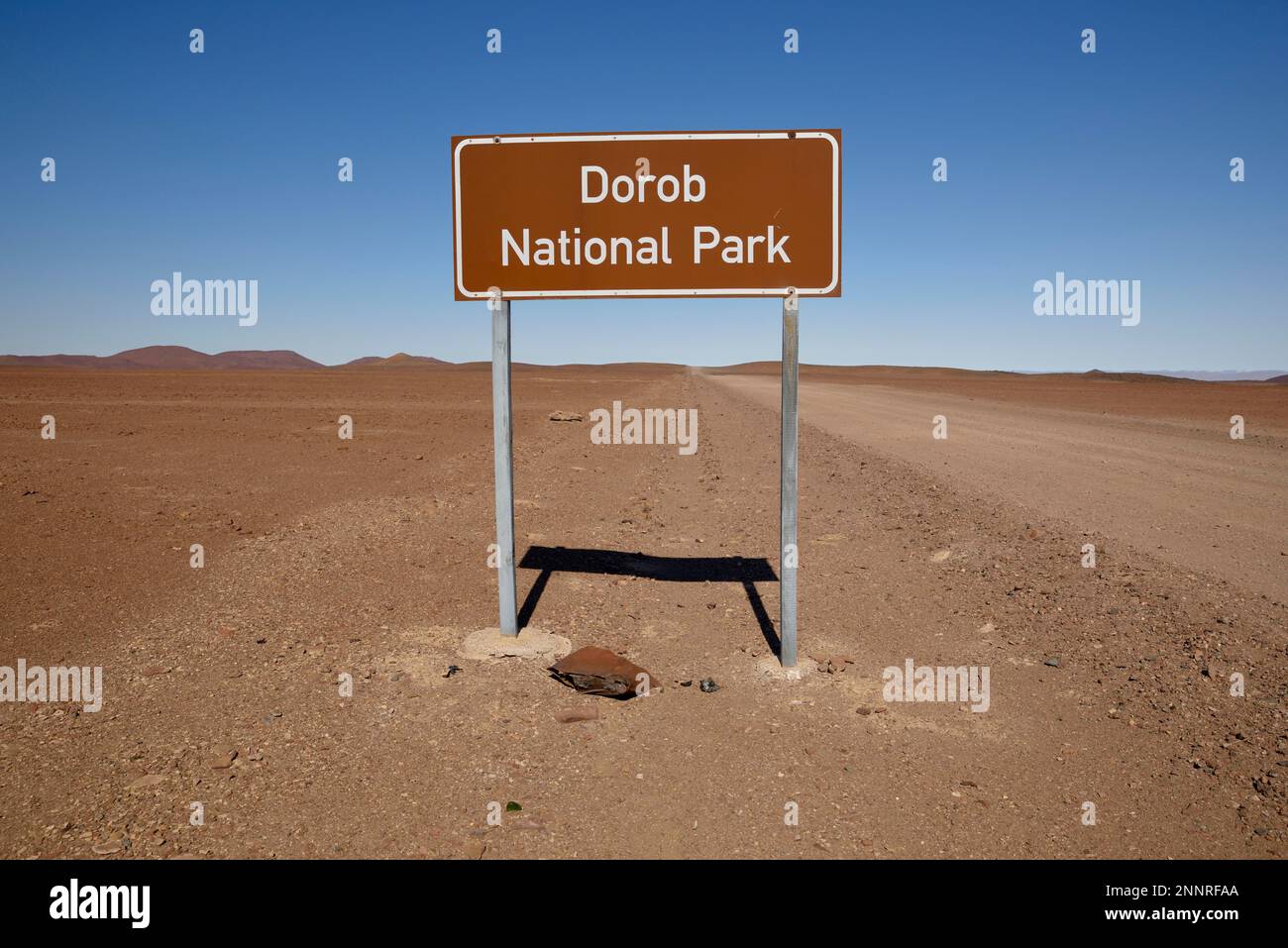Shield Dorob National Park, Erongo Region, in der Nähe von Henties Bay, Namibia Stockfoto
