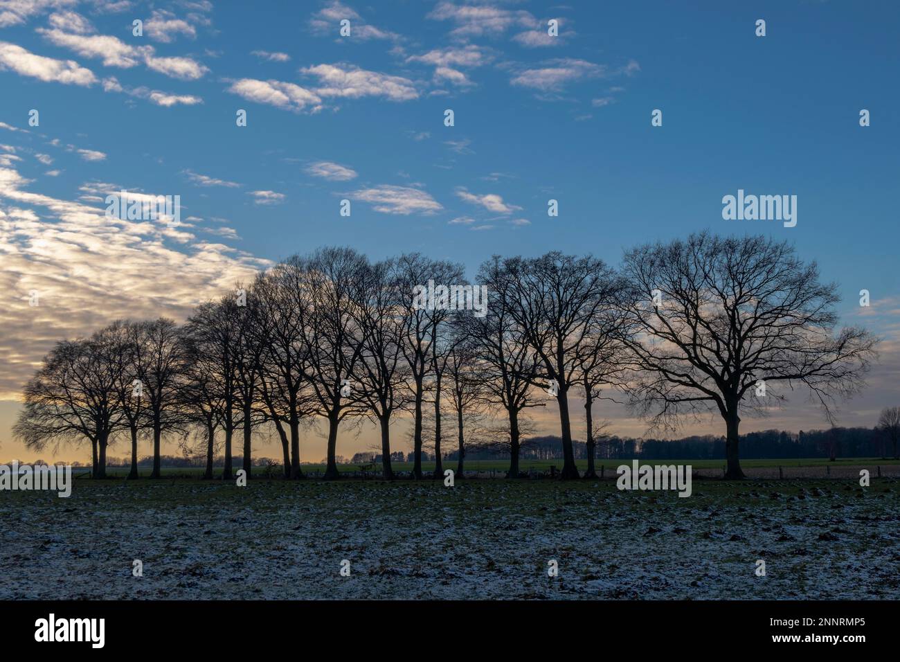 Winterabend im Münsterland Stockfoto