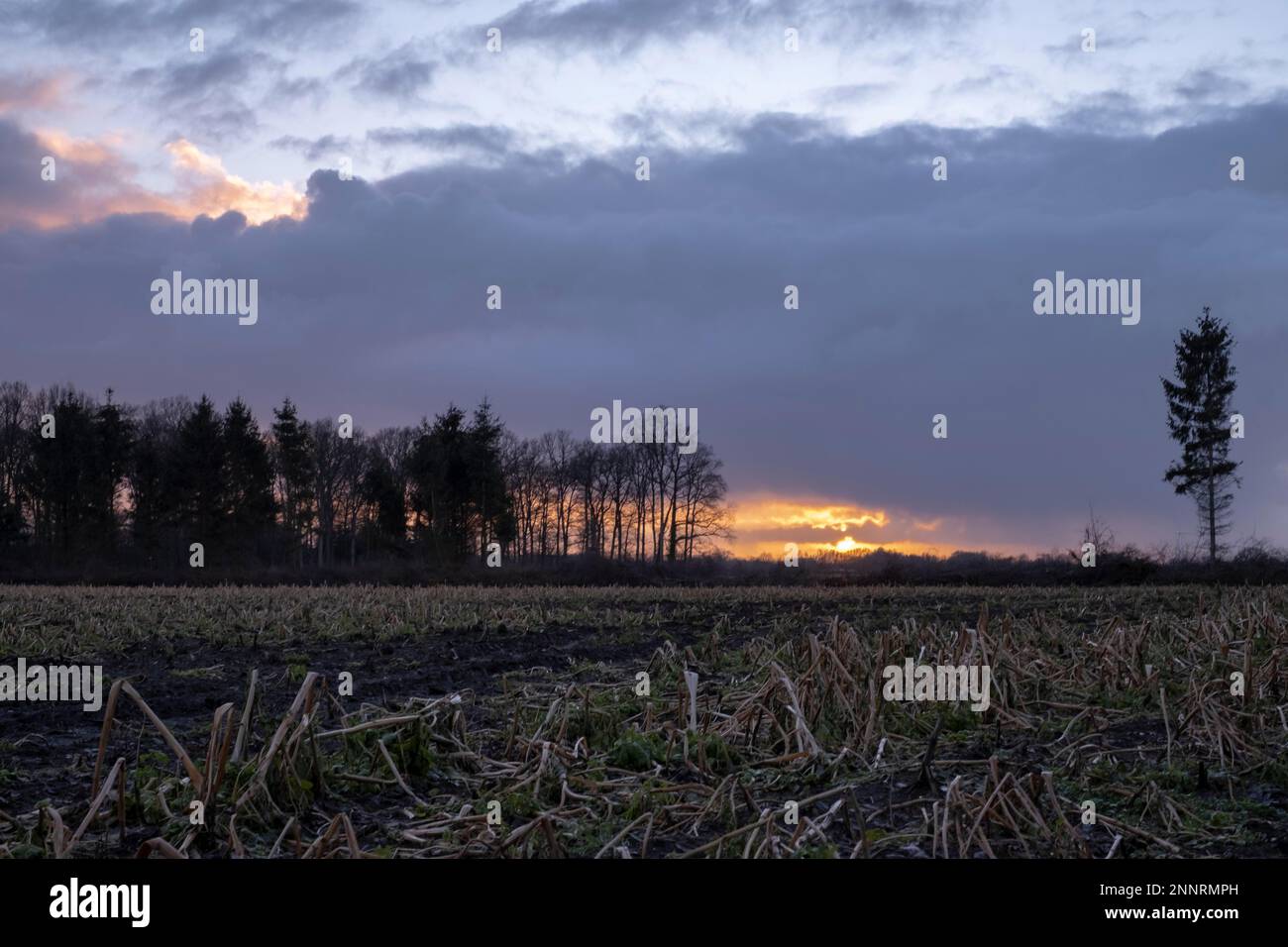 Winterabend Stockfoto