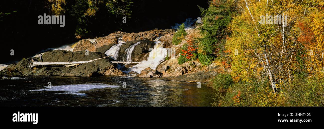 Der Fluss fließt im Herbst durch den Wald, Lake Superior, Kanada Stockfoto