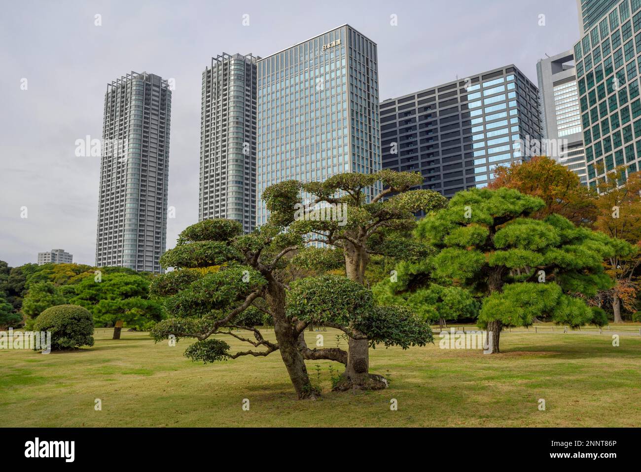 Hamarikyu Park, Imperial Garden of Hama Residence, vor der Skyline, Chuo District, Tokio, Honshu Island, Japan Stockfoto