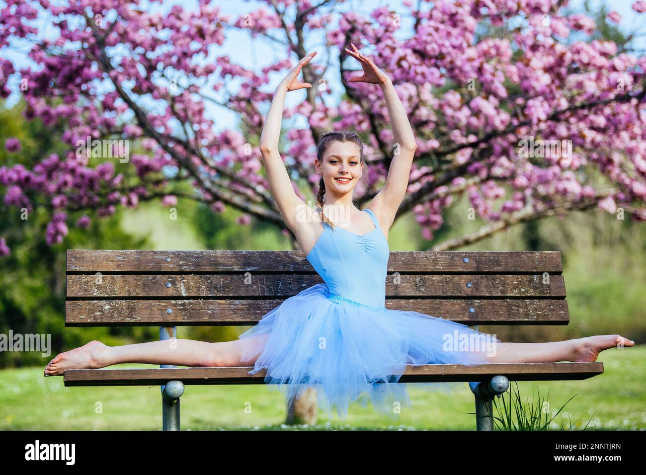 Ballerina in blauem Kleid, die unter Kirschblüten spaltet, Battle Point Park, Bainbridge Island, Washington, USA Stockfoto