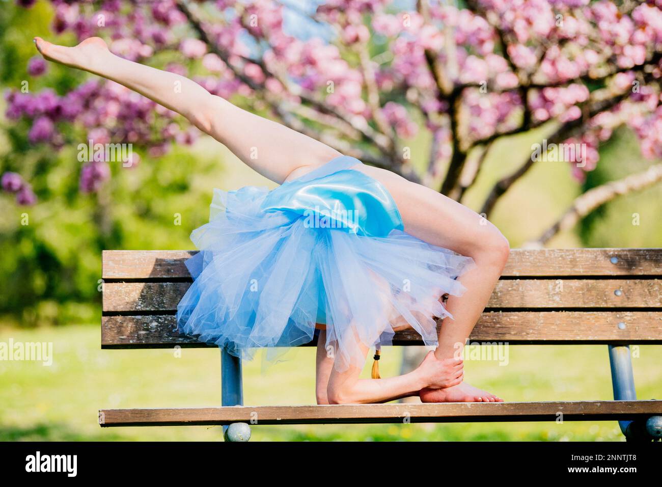 Ballerina in blauem Kleid unter Kirschblüten, Battle Point Park, Bainbridge Island, Washington, USA Stockfoto
