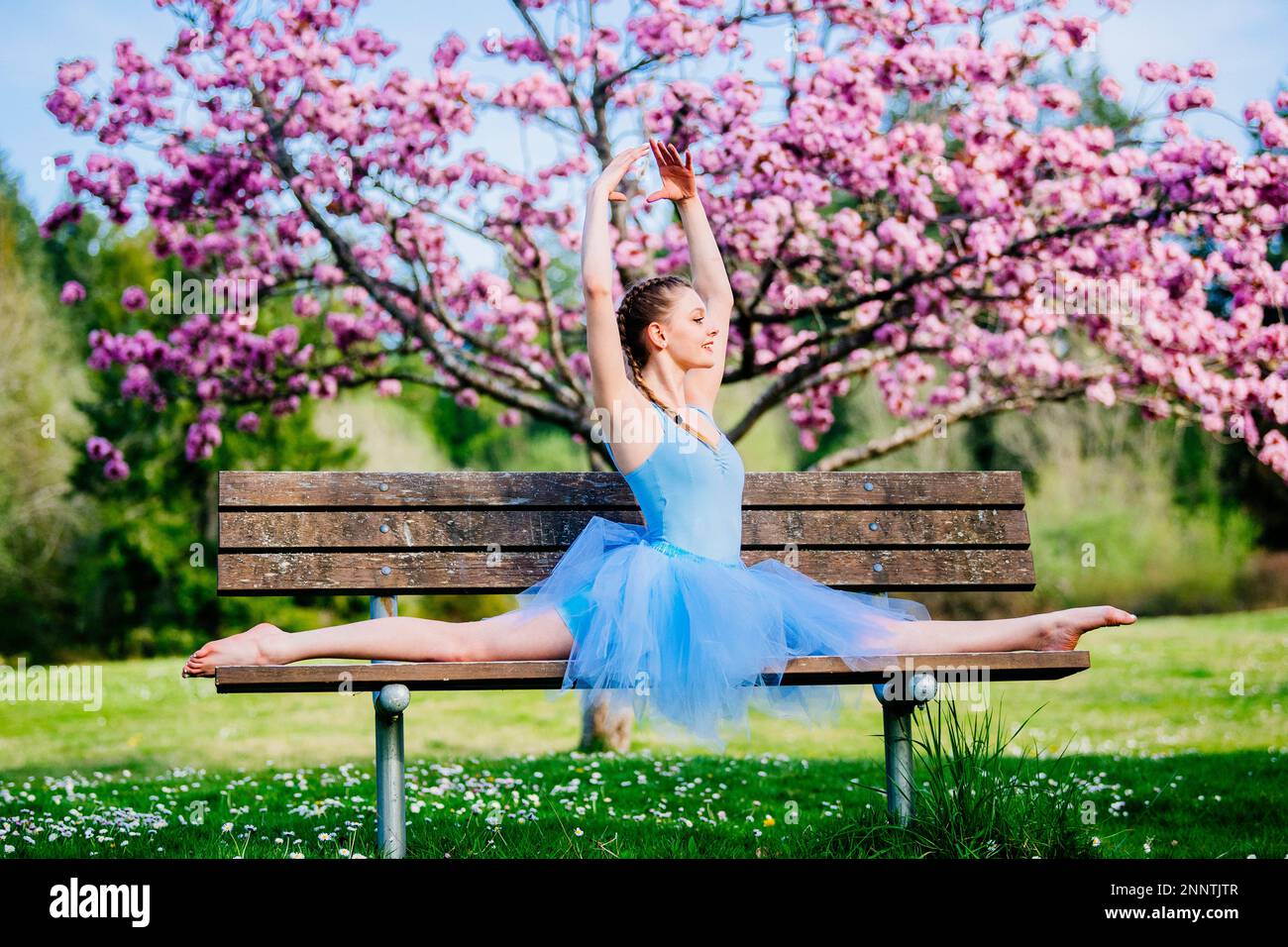 Ballerina in blauem Kleid, die unter Kirschblüten spaltet, Battle Point Park, Bainbridge Island, Washington, USA Stockfoto
