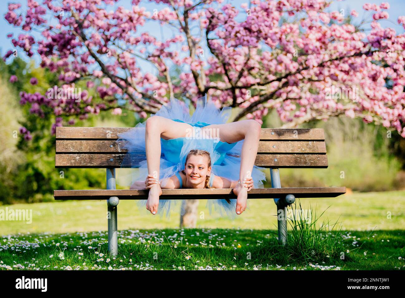 Ballerina in blauem Kleid unter Kirschblüten, Battle Point Park, Bainbridge Island, Washington, USA Stockfoto