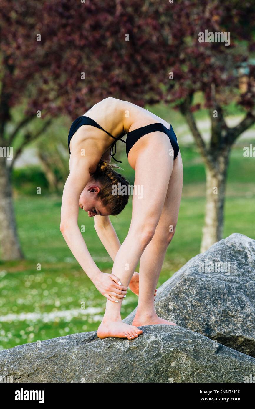 Weibliche Schreckgespensterin auf Felsen, Battle Point Park, Bainbridge Island, Washington, USA Stockfoto