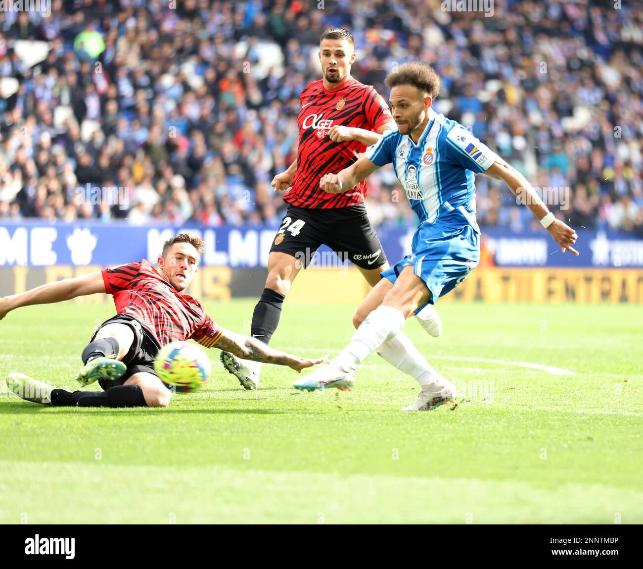 Sabadell, Barcelona, Spanien. 25. Februar 2023. Barcelona Spanien 25.02.2023 Martin Braithwaite (Espanyol), Martin Valjent (Mallorca) Antonio Raillo (Mallorca) kämpfen um den Ball während der La Liga Santander zwischen Espanyol und Mallorca im RCDE-Stadion am 25. Februar 2023 in Barcelona. (Kreditbild: © Xavi Urgeles/ZUMA Press Wire) NUR REDAKTIONELLE VERWENDUNG! Nicht für den kommerziellen GEBRAUCH! Stockfoto