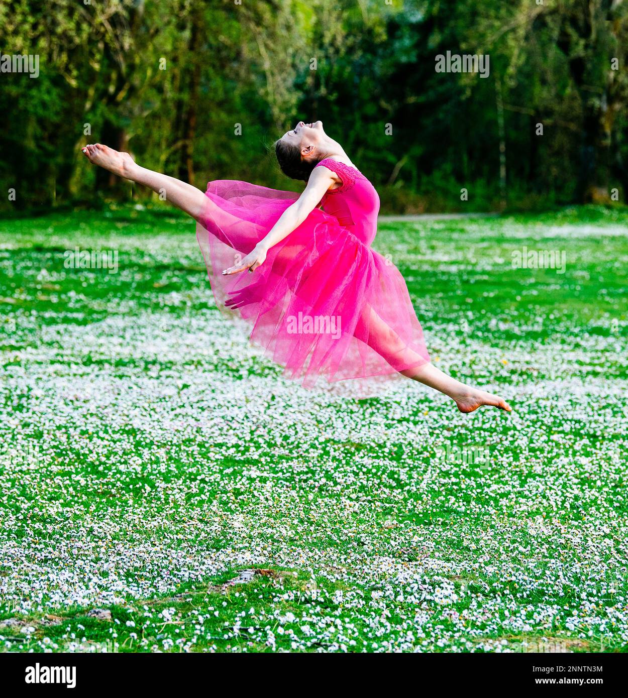 Ballerina tanzt mit Blumen auf dem Rasen, Battle Point Park, Bainbridge Island, Washington, USA Stockfoto