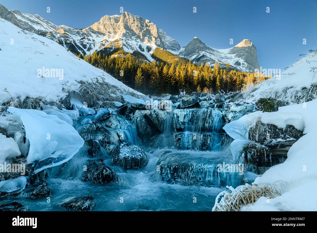 Sulfur Creek, der im Winter durch die gefrorene Berglandschaft fließt, Canmore, Alberta, Kanada Stockfoto