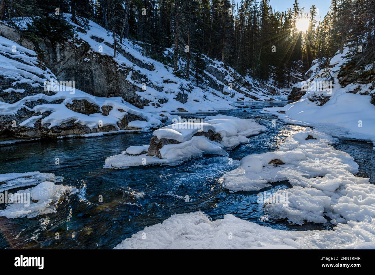 Der Fluss fließt im Winter durch schneebedeckte Wälder, Spray River, Canmore, Alberta, Kanada Stockfoto