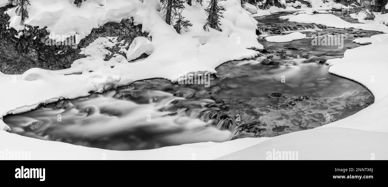 Schwarzweiß-Aufnahme des Bryant Creek durch die verschneite Landschaft in Canmore, Alberta, Kanada Stockfoto