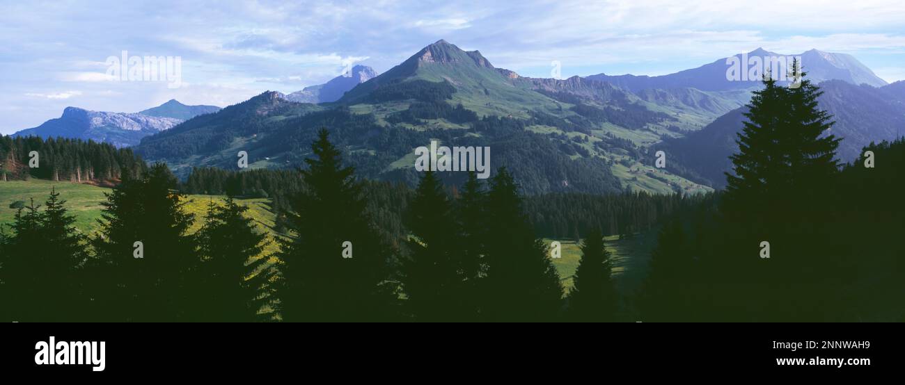 Landschaft mit französischen Alpen und Wald, Haute-Savoie, Frankreich Stockfoto